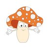 Avatar of Mushroom Spores For Sale