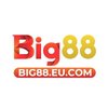 Avatar of Big88