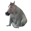 Avatar of Horsekey