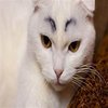Avatar of kiw12