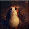 Avatar of r23po