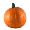 Avatar of Pumpkin2552