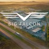 Avatar of Big Falcon Digital