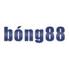 Avatar of bong88training1
