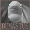 Avatar of BUMASTUS