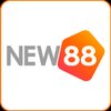 Avatar of New88