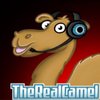 Avatar of TheRealCamel