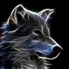 Avatar of roxiewolf