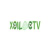 Avatar of Xoilactv