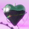 Avatar of saltnpepper