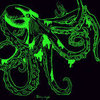 Avatar of 02262004