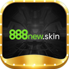 Avatar of 888newskin