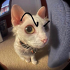 Avatar of braedawg02