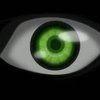Avatar of Third_Fox