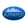 Avatar of alpinepest