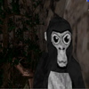 Avatar of shyguyoffical