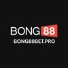 Avatar of Bong88 Trung Tâm Giải Trí Trực Tuyến Ưu Việt