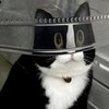 Avatar of Melissaliiiiii