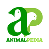 Avatar of Animal Pedia