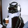 Avatar of Maketibes