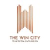 Avatar of thewincitys