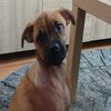 Avatar of doxievr