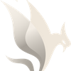 Avatar of Phoenix VD