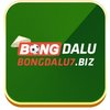 Avatar of Bongdalu7