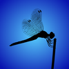 Avatar of LyLuLe_Creative