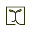 Avatar of DicotLandStudio