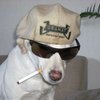 Avatar of ricardo6r