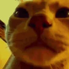 Avatar of rinkame