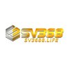 Avatar of sv3688life