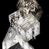 Avatar of Catherine Bellamy