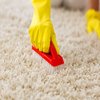 Avatar of Carpet Cleaning Toowoomba