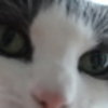 Avatar of nanexandre
