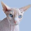 Avatar of StudioMartillo