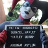 Avatar of OvanCosplay