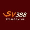 Avatar of SV388