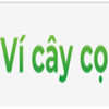 Avatar of Ví Cây Cọ