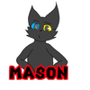 Avatar of Mason