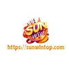 Avatar of sunwintop.com