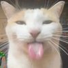 Avatar of buen