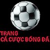 Avatar of Trang Cá Cược Bóng Đá
