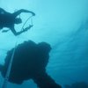 Avatar of GIRT Scientific Divers
