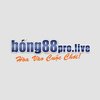 Avatar of bong88
