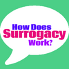Avatar of surrogacyprocess