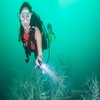 Avatar of letsdivehere