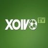 Avatar of xoivotvttbd