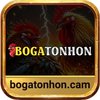 Avatar of Bogatonhon